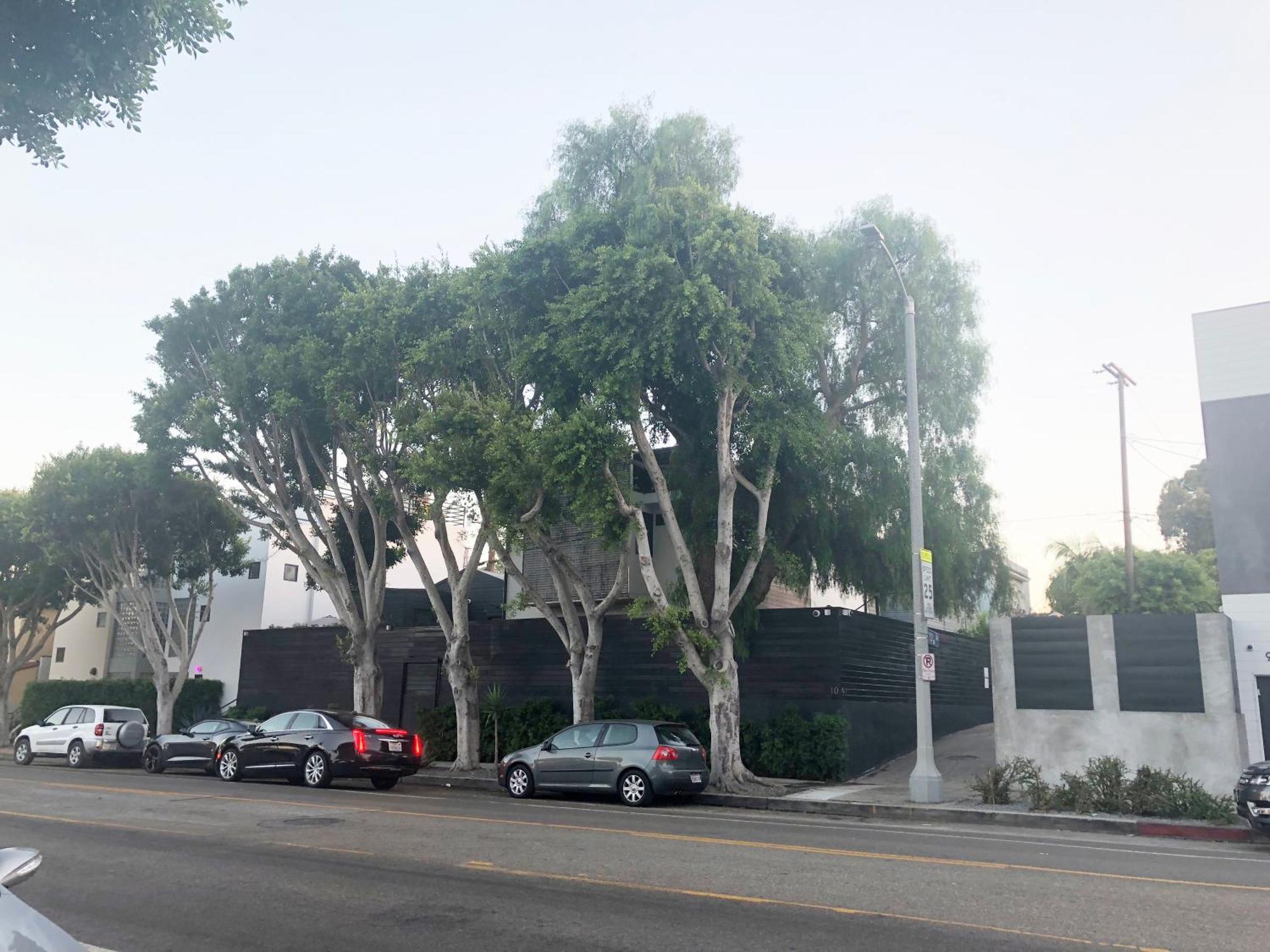 Venice Beach Studio With Large Private Patio Steps To The Beach Los Angeles Exterior foto